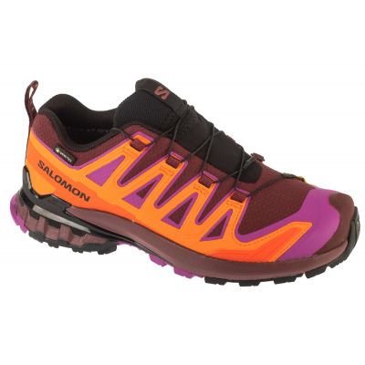 Buty do biegania Salomon XA Pro 3D v9 GTX W L47961900