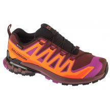 Buty do biegania Salomon XA Pro 3D v9 GTX W L47961900