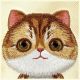 8. Etui Nimmy Big Eyed Pet 2.0 Cat na iPhone 16 - zielone
