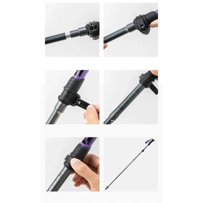 8. Kijek trekkingowy Qunature nordic walking aluminiowy 110 - 130 cm 1 szt. - fioletowy