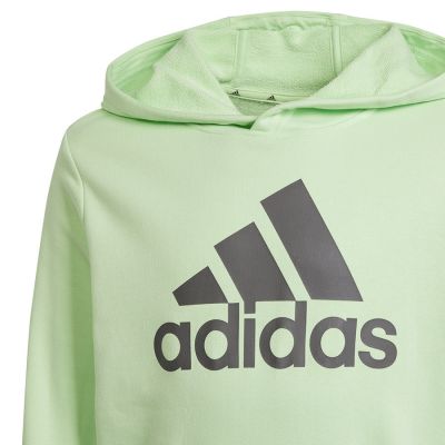 6. Bluza adidas Big Logo Hoodie Jr IS2591