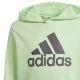 6. Bluza adidas Big Logo Hoodie Jr IS2591