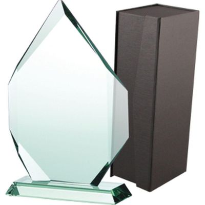 5. Trofeum szklane z etui