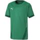 5. Koszulka Puma teamGOAL 23 Jersey Jr 704160 05