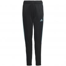 Spodnie adidas Tiro 23 Club Training Jr IC1588