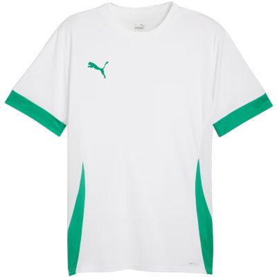 3. Koszulka męska Puma teamGoal Matchday Jersey biało-zielona 705747 15