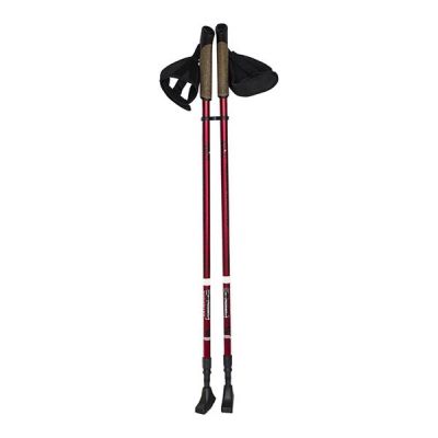 3. Kije Nordic Walking Nils Extreme NW802 