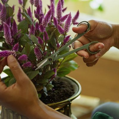 4. Zestaw narzędzi do pielęgnacji roślin doniczkowych FISKARS Plant Care (1075317) (3szt.)