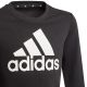 6. Bluza adidas Essentials Big Logo Jr GP0040