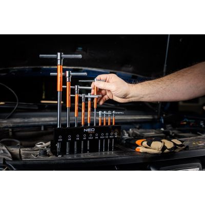14. Klucze trzpieniowe z przetyczką 2-10 mm, zestaw 10 szt. w stojaku