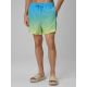 2. Spodenki plażowe boardshorty męskie 4F 4FWSS26UBDSM168-33S