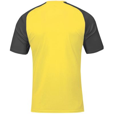 Koszulka piłkarska Joma Academy IV Sleeve 101968.901