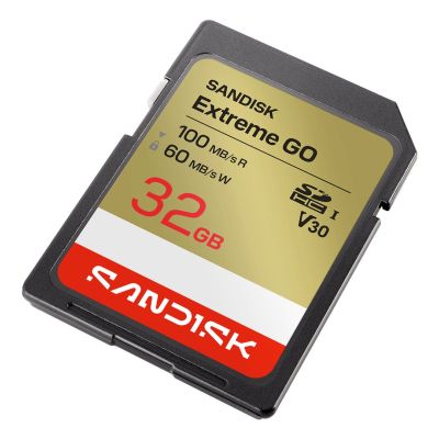 2. Sandisk Extreme Go SD UHS-I 32GB SD 100MB/s(R) / 60MB/s(W)