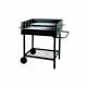 MASTER GRILL PROST. DLA PROFESJONALISTÓW  MG648