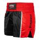 2. Spodenki do K-1 MASTERS "COMBAT"  (WAKO APPROVED)