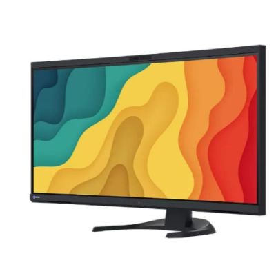 9. Monitor EIZO FlexScan EV3450XC-BK 34.1" - Płaski ekran - 86.6 cm