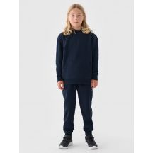 Spodnie dresowe 4F Jr 4FJWMM00TTROM0811-31S