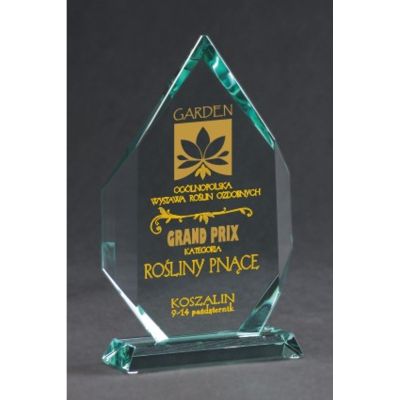 6. Trofeum szklane grawerowane z etui +wypełnianie farbą
