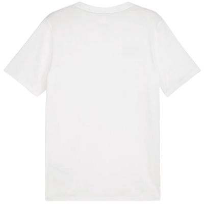 6. Koszulka Puma Team Goal Casuals Tee M 658615 04