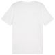 6. Koszulka Puma Team Goal Casuals Tee M 658615 04