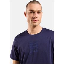 Koszulka męska Odlo ASCENT SUN. SEA. MOUNTAINS. T-shirt crew neck s/s niebieska
