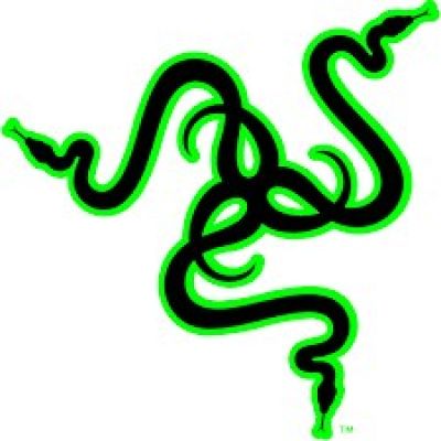 Kontroler do gier Razer Wolverine V3 Pro (PC)