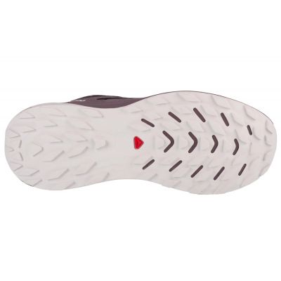 4. Buty  do biegania Salomon Ultra Flow GTX W 474743
