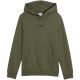 2. Bluza dla dzieci Puma ESS Small No.1 Logo Centered Hoodie khaki 692976 86