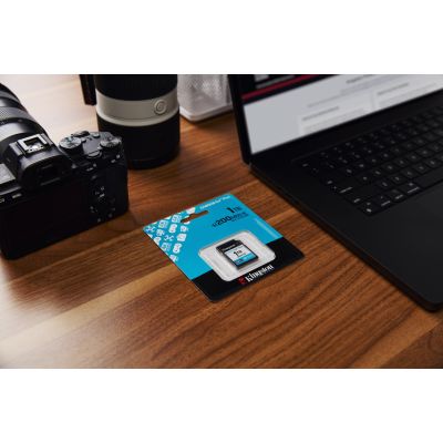 9. Karta pamięci Kingston Canvas Go Plus SDG4/1TB (1TB; Class U3, V30; Karta pamięci)