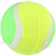 5. PIŁKA TENIS ZIEMNY DLA PSA 3SZT KOLOR