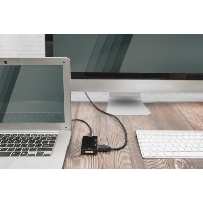 3. Digitus Kabel konwertujący DisplayPort 3 w 1