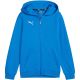 4. Bluza Puma teamGoal Casuals Hooded Jr 658596 02