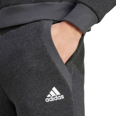 4. Spodnie męskie adidas Seasonal Essentials Mélange szare IW6357