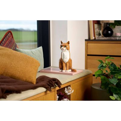 11. LEGO Ideas 21376 - Rudy kot