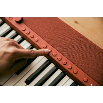10. CASIO CT-S1 RD - Keyboard
