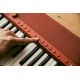 10. CASIO CT-S1 RD - Keyboard