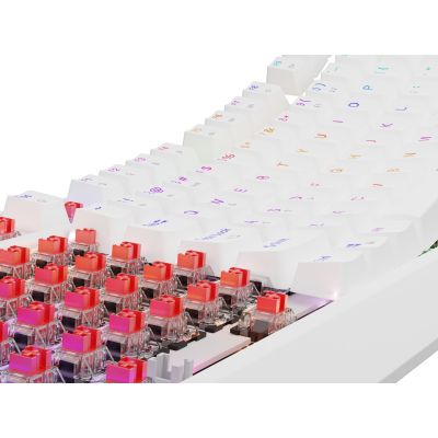 14. Klawiatura GENESIS Thor 230 TKL Gaming USB QWERTY US English Biały