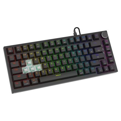 8. SAVIO KLAWIATURA MAGNETYCZNA ASTRAL BLACK OUTEMU WHITE JADE RGB