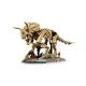5. LEGO Jurassic World 77985 - Szkielety dinozaurów: Triceratops