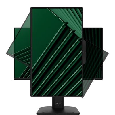 42. MSI Monitor 23.8" PRO MP242PMG  FHD 120Hz