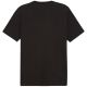 2. Koszulka Puma Graphics Summer Sports Tee II M 627909 01