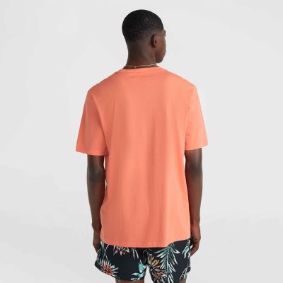 10. Koszulka O'Neill Mix & Match Palm T-Shirt M 92800613905