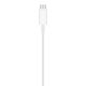 Apple MagSafe Charger