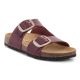 BIO BIO DAENA COUNTRY RIOJA 261-780483-56