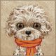 8. Etui Nimmy Big Eyed Pet 2.0 Dog do iPhone 17 - beżowe