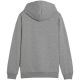 2. Bluza Puma Team Goal Casuals Hoddy Jr 658619 33