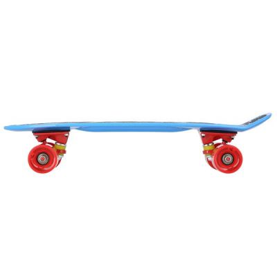 11. Deskorolki Pennyboard Nils Extreme Crude Dragon