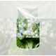 2. Zawieszka samochodowa bonus pack CLEAN COTTON YANKEE