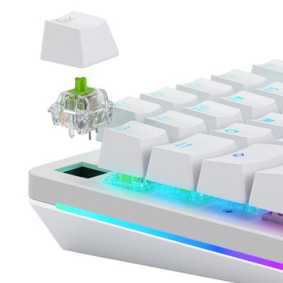 2. Przełącznik mechaniczny Glorious Raptor Standard Switch, mechanisch, 5-Pin, clicky, MX-Stem, 55g - lubed, 36 Stück