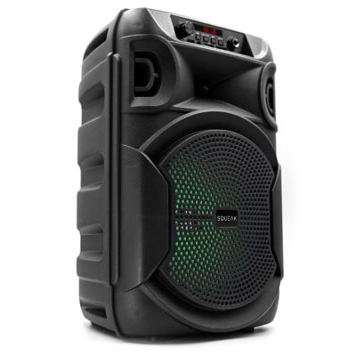 9. SQUEAK GŁOŚNIK KARAOKE PULSETOWER BLUETOOTH 5.3, RADIO FM, MICROSD, AUX, USB SQ1006